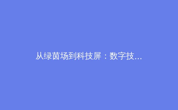 从绿茵场到科技屏：数字技术如何重塑现代体育叙事与产业格局